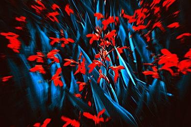 腾讯治愈系新作《粒粒的小人国》首曝PV与实机演示